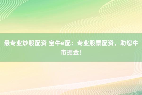 最专业炒股配资 宝牛e配：专业股票配资，助您牛市掘金！