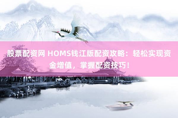 股票配资网 HOMS钱江版配资攻略：轻松实现资金增值，掌握配资技巧！