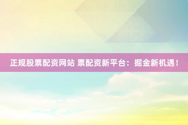 正规股票配资网站 票配资新平台：掘金新机遇！