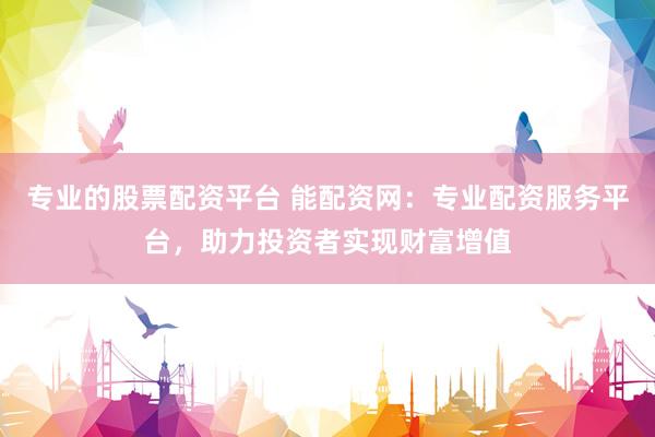 专业的股票配资平台 能配资网：专业配资服务平台，助力投资者实现财富增值