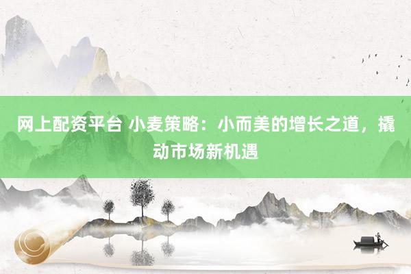 网上配资平台 小麦策略：小而美的增长之道，撬动市场新机遇