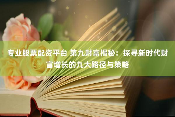专业股票配资平台 第九财富揭秘：探寻新时代财富增长的九大路径与策略
