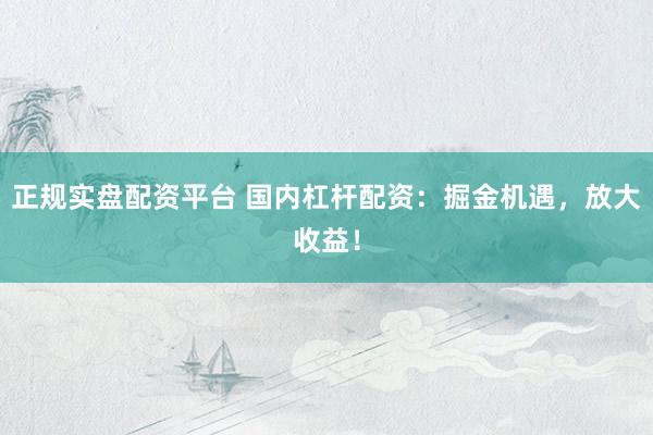 正规实盘配资平台 国内杠杆配资：掘金机遇，放大收益！