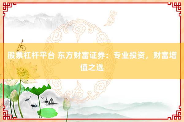 股票杠杆平台 东方财富证券：专业投资，财富增值之选