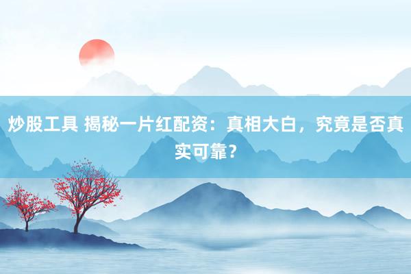 炒股工具 揭秘一片红配资:真相大白,究竟是否真实可靠?