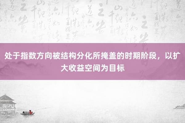 处于指数方向被结构分化所掩盖的时期阶段，以扩大收益空间为目标