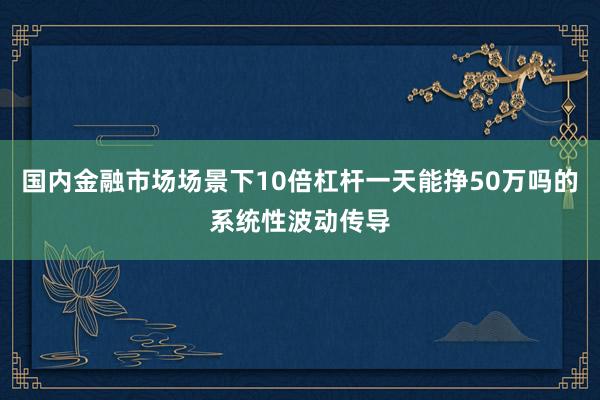 国内金融市场场景下10倍杠杆一天能挣50万吗的系统性波动传导