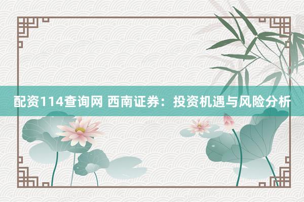 配资114查询网 西南证券:投资机遇与风险分析