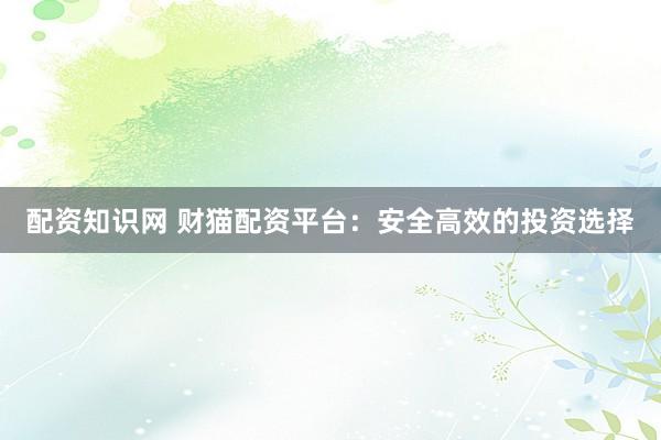 配资知识网 财猫配资平台：安全高效的投资选择